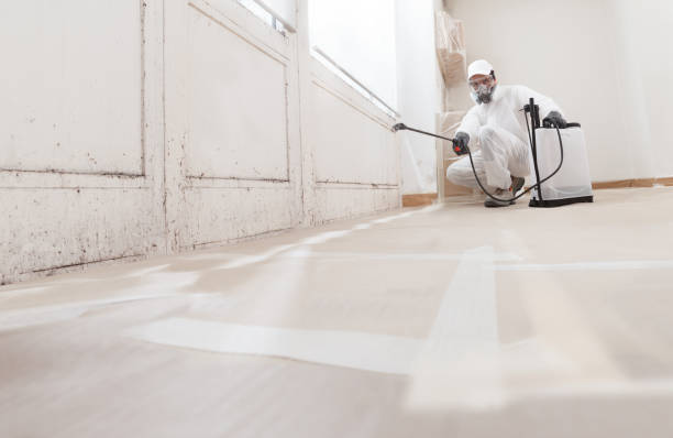 24/7 Emergency Mold Remediation experts in Graham, NC