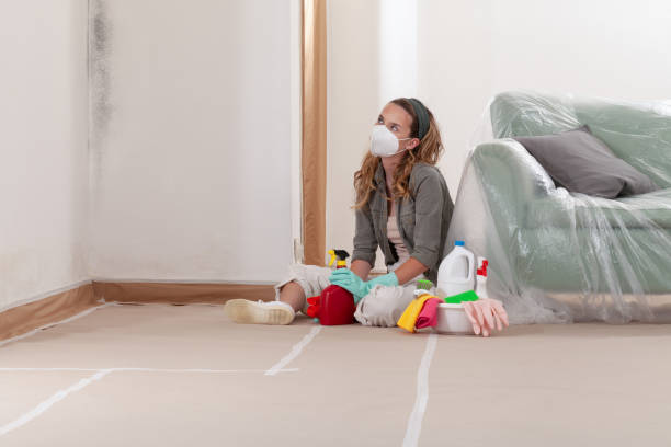 Reliable Mold Remediation contractor in Graham, NC by Mold Remediation HQ