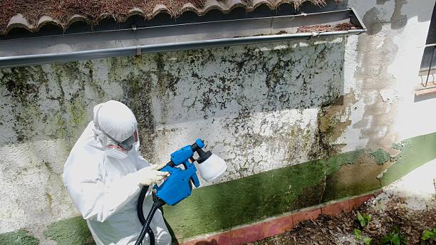 Top rated local Mold Remediation specialists in Graham, NC